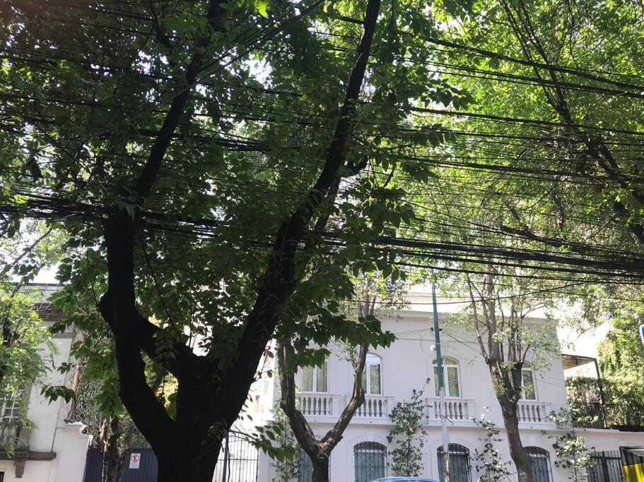 Ferienwohnung Excellent Location Renovated Apt. Roma/Condesa 1 Mexiko-Stadt Exterior foto